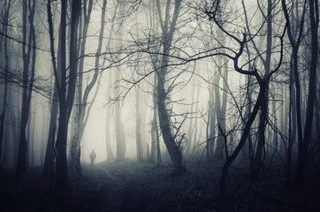 spooky Halloween forest scene