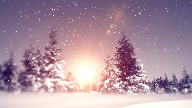 Fantastic evening winter landscape