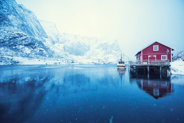 Lofoten Islands - Northern Norway - obrazy, fototapety, plakaty