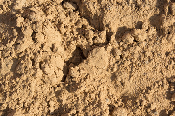 Small slides on the surface of the sand on the beach or in a sandbox, illuminated by the evening sun.