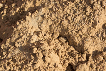 Small slides on the surface of the sand on the beach or in a sandbox, illuminated by the evening sun.