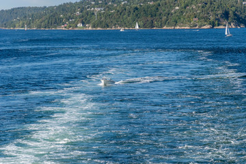 Obraz premium nach Oslo, Fahrwasser