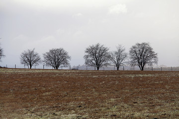 Views of rural Tasmania