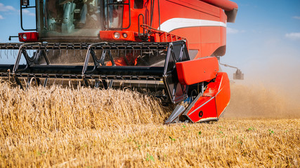 Fototapeta premium Harvesting the countryside