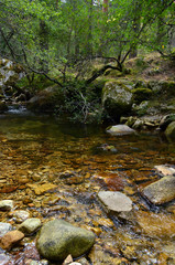 Littel river stream on mountain