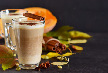 Warm, spicy drink - latte with cinnamon and pumpkin
