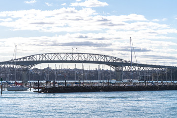 view of Auckland, New Zealand