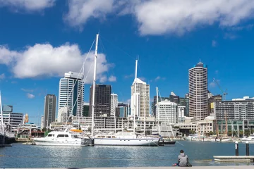 Foto op Plexiglas view of Auckland, New Zealand © Alena Yakusheva
