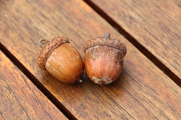 Glands de chêne sur table en bois