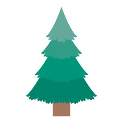 Pine tree icon. Merry Christmas season and decoration theme. Isolated design. Vector illustration