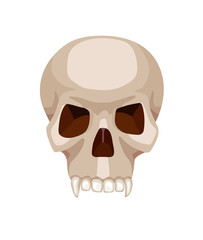 skull stylized cartoon vector illustration