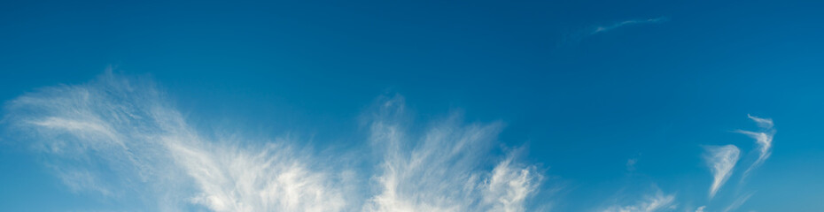 Obraz premium blue clear sky on day time .