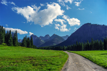 Fototapeta premium Beautiful landscape in the High Tatra Mountains. Slovakia.
