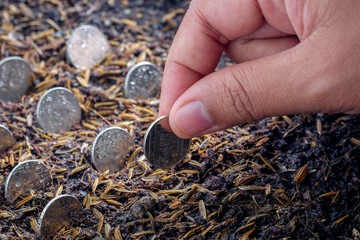 Money growth concept coins in soil
