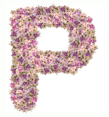 Letter P alphabet with zinnia flower ABC concept type as logo. Typography design