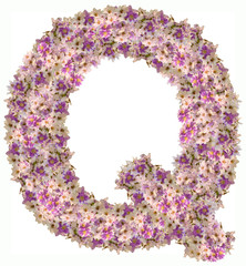 Letter Q alphabet with zinnia flower ABC concept type as logo. Typography design