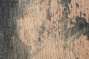 Old Wood Texture