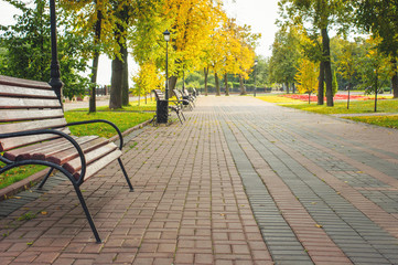 Park with bench on alley in yellow autumn