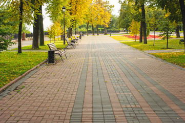 Colorful tree alley in the autumn park on sunny day