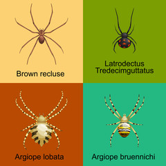 Spiders cartoon set, dangerous insects collection