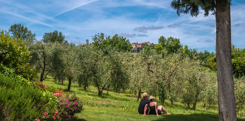Fototapeta na wymiar Relax in San Gimignano countryside