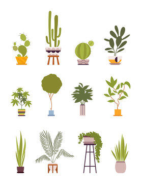 Set of four green floor plants in retro pots isolated against white background. Cartoon vector flat-style illustration