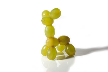 Food art creative concepts. Cute animals made of green grapes over white background.