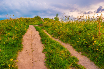 Fototapeta na wymiar Pathway on a hill with wildflowers. Beautiful natural landscape at sunset with green grass, flowers and cloudy sky. Image of travelling and adventure in countryside. Great outdoors picture.