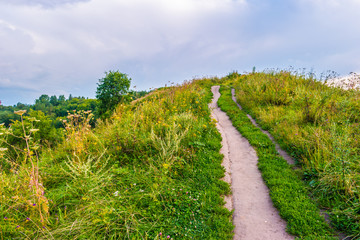 Fototapeta na wymiar Pathway on a hill with wildflowers. Beautiful natural landscape at sunset with green grass, flowers and cloudy sky. Image of travelling and adventure in countryside. Great outdoors picture.
