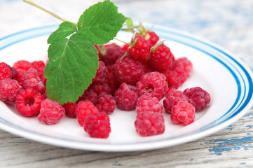 fresh juicy raspberries on a white plate