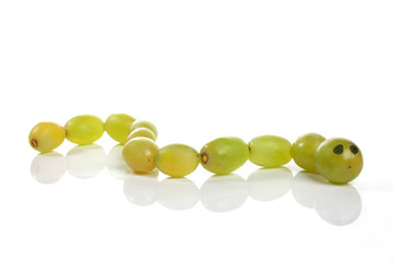 Food art creative concepts. Cute animals made of green grapes over white background.