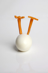 Food art creative concepts. Funny animals made of carrots and boiled egg over white background.
