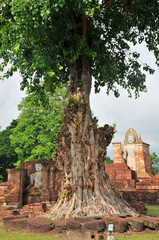 Obraz premium World heritage Sukhothai historical park, Thailand