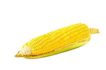 fresh corn isolated on white background