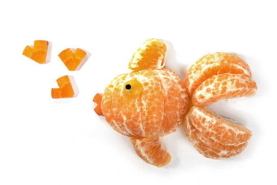 Food art creative concepts. Funny animal made of fruit such as mandarin orange. Cute dessert for children. Fruit isolated on a white background.