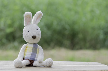 Stuffed animal Rabbit toy on Blurred Background