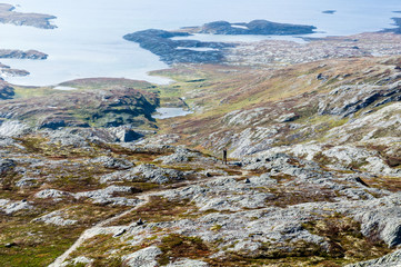 Norwegian Mountain Landscape