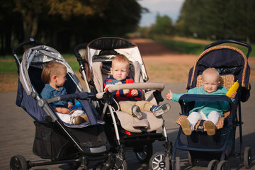 funny children sitting in strollers in park
