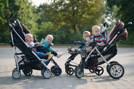 funny children sitting in strollers in park