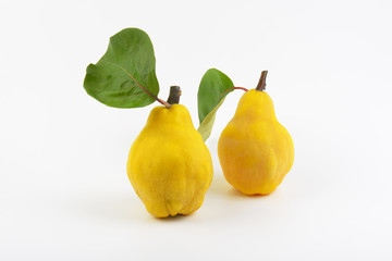 two yellow pears