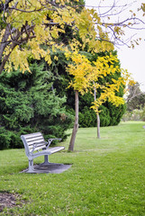 Fototapeta na wymiar Bench in Beauchamp Park in the autumn