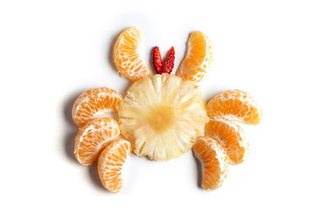 Food art creative concepts. Funny animal made of fruit such as mandarin orange. Cute dessert for children. Fruit isolated on a white background.