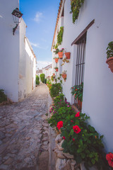 Old cobbled streets with white houses and red flowers