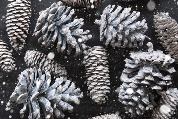 Fir Cone Texture As Christmas Decoration, Flat Lay And Snowflakes