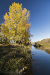 autumn landscape with a river view