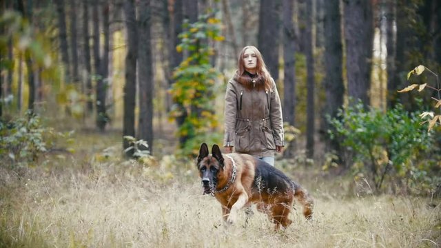 Young woman playing with a shepherd dog in autumn forest - throws a stick towards the camera, slow motion