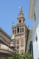 Fototapeta na wymiar Catedral de Santa María de la Sede de Sevilla, La Giralda (España) 