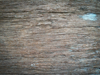old wood background.texture of bark wood use as natural backgrou