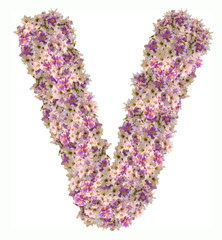 Letter V alphabet with zinnia flower ABC concept type as logo. Typography design