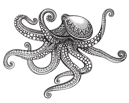 Hand drawn octopus in graphic ornate style.